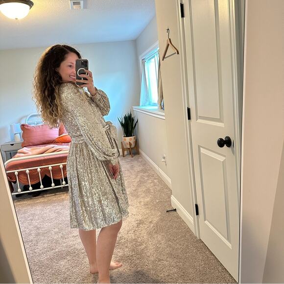 NWT Anthropologie Sachin & Babi Silver Sequin Mini Dress 4 - Picture 3 of 16